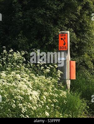 SOS telephone in an orange box on a post by the roadside, with tall cow parsley plants and hedgerow, in England, UK Stock Photo