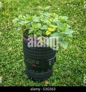 Camera lens in mint condition Stock Photo