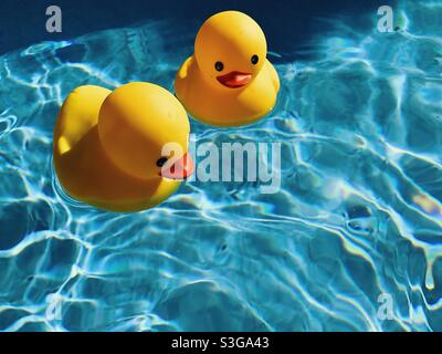 Rubber ducks best sale for swimming pools