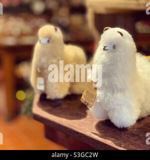 Llamas, Vermont Country Store, Rockingham, Windham County, Vermont, United States Stock Photo