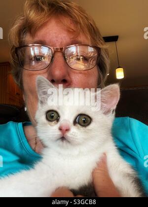 Senior woman holding a British Shorthair kitten. Stock Photo