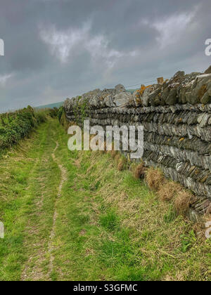 Bridleway in Cornwall Stock Photo