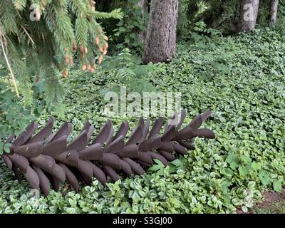 Large pine cone in the woods Stock Photo