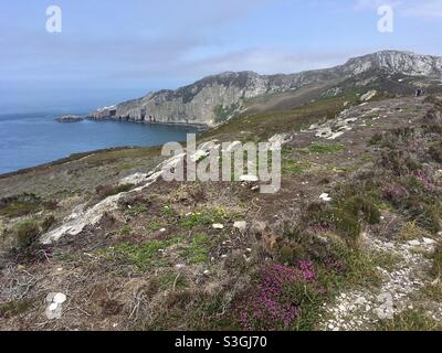 Sea cliffs and coastal path on Anglesey, North Wales. Stock Photo