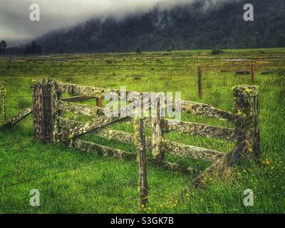 Wooden farm gate covered in moss and lichen in the damp climate of the Westland Region on The South Island, New Zealand Stock Photo