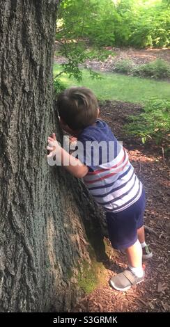 Boy hugging tree, Stock Photo