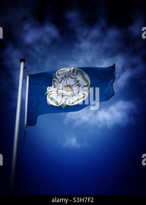 White rose flag of the county of Yorkshire Stock Photo