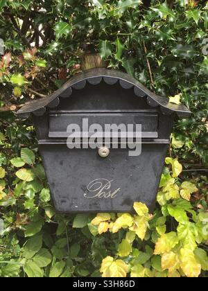 Vintage mailbox nestled in a hedge of beech and holly in rural Oxfordshire Stock Photo