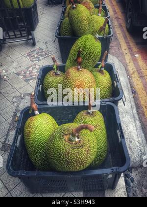 Jackfruit for sale at a market in George Town, Penang, Malaysia Stock Photo