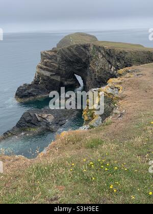 Ynys lochtyn  Ceredigion West Wales UK Stock Photo