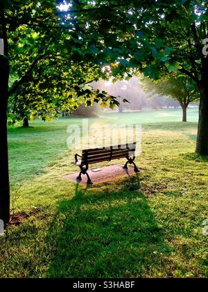 Early morning in a lovely park. A perfect spot for quiet meditation, reflection, or shin-rin yoku. Concepts: solitude, freshness, fresh, beginning. Silence except bird sounds. Stock Photo