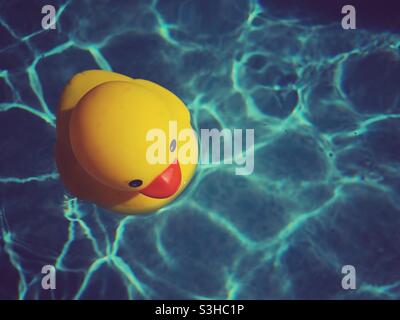 Sunny Rubber Duck