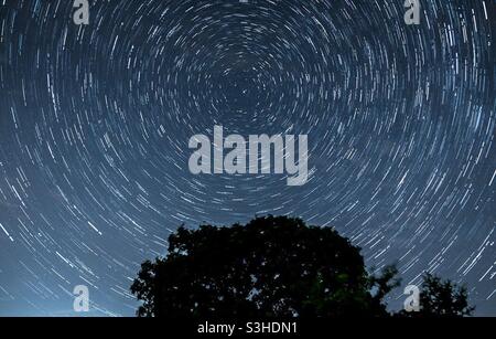 Star trails above an old oak tree Stock Photo