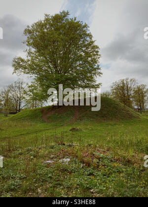 Viking Burial Mound Borre National Park Horten Norway Stock Photo - Alamy