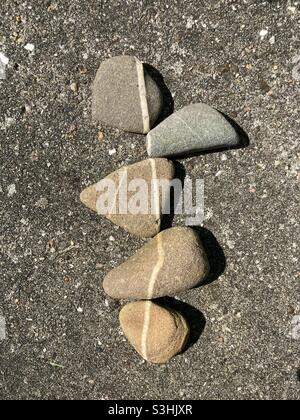 gray colored pebbles with a white stripe are so close together that the stripes form a continuous line Stock Photo