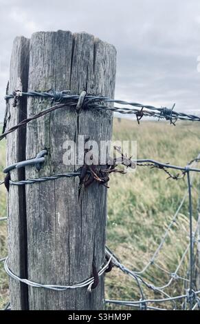 an old weathered wooden post to which barbed wire is tied stands in a meadow Stock Photo
