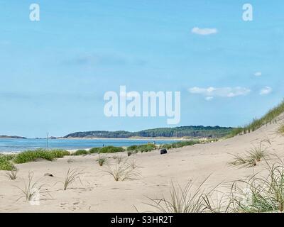 View of Newborough forest from the sand dunes at a Newborough Warren, Anglesey, North Wales, UK, late summer day, august 2021 Stock Photo