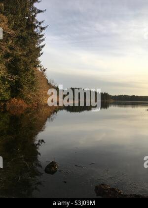 Olympic National Park, Lake Ozette, Shore Stock Photo - Alamy