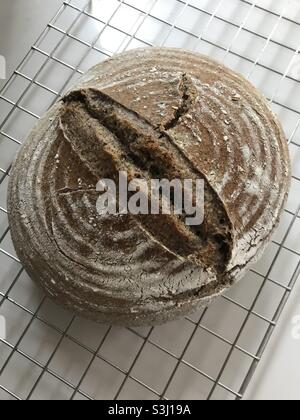 Freshly baked sourdough rye bread cooling on a rack Stock Photo