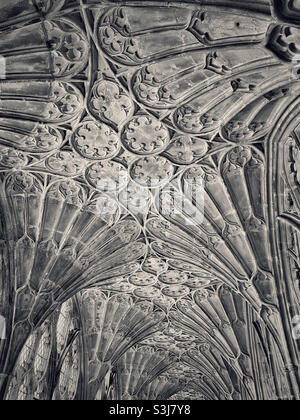 A toned monochrome image of the spectacular fan vaulted ceilings in the cloisters of Gloucester Cathedral in England, UK. This area was used for the Harry Potter films. Photo ©️ COLIN HOSKINS. Stock Photo