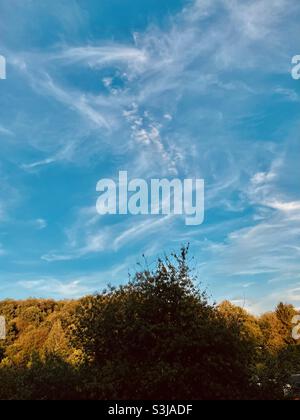 A veil cloud formation in the blue sky over a sunlit forest Stock Photo