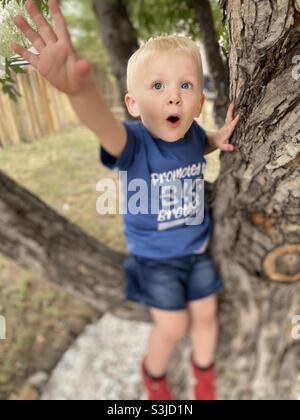 Toddler boy climbing tree reaching for branch Stock Photo