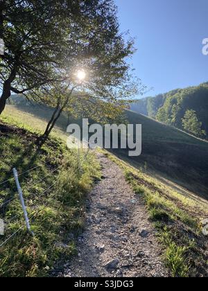 Scenic hiking trail on a sunny morning in rural landscape in the Swabian Alps Stock Photo