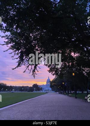 The sky glows pink shortly before the sun rises behind the U.S. Capitol building in Washington, D.C. Stock Photo