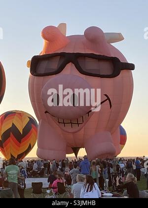 Cool pig Hot air balloons at the Albuquerque Balloon Fiesta Stock Photo