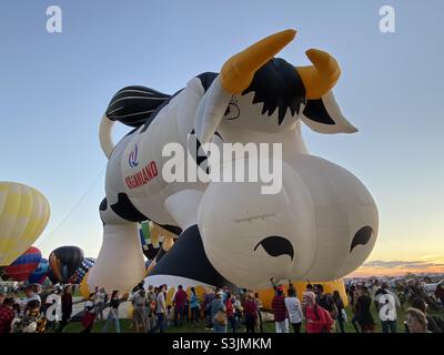 Creamland cow Hot air balloons at the Albuquerque Balloon Fiesta Stock Photo