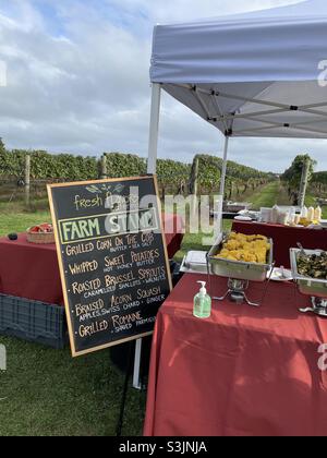 Vineyard Hamptons Stock Photo