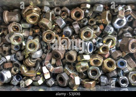 Nuts Stock Photo