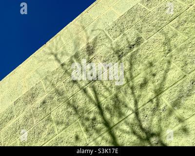 Looking up at green painted, breeze-block wall with shadow of a tree, deep blue sky in corner Stock Photo