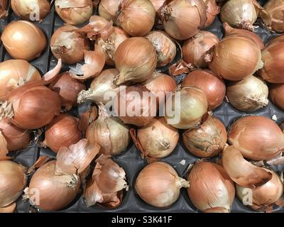 Brown loose onions at a Woolworths supermarket in Sydney, Australia Stock Photo