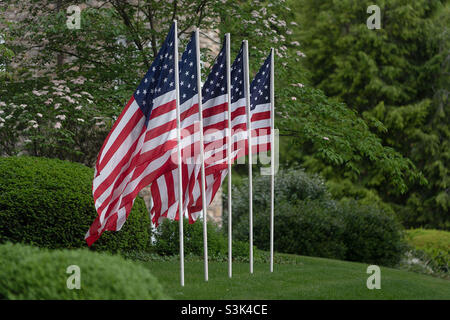 Five American flags wave in breeze. Stock Photo