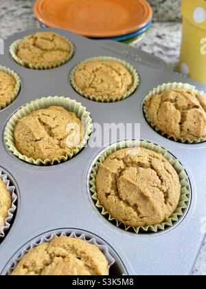 Homemade pumpkin ginger muffins hot out of the oven and cooling off in a muffin pan. Stock Photo