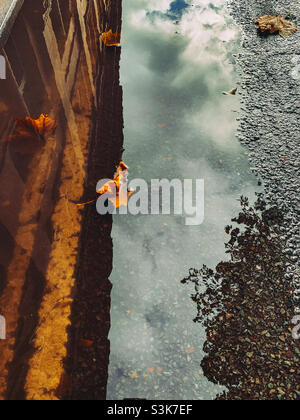 Autumn leaves in a puddle of water on the kerbside Stock Photo