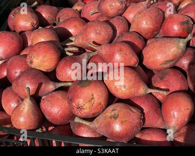 Red pears in a basket Stock Photo