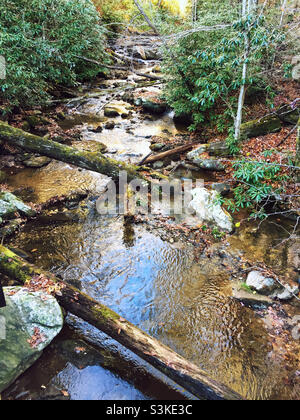 Smith Creek at Anna Ruby Falls in Helen Georgia. Stock Photo