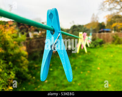 Clothes legs on a washing line in autumn. Stock Photo