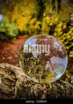 Autumn through a lens ball Stock Photo
