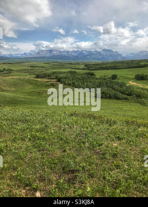 Looking south towards the Canada/US border, from the viewpoint near Twin Butte in southern Alberta, Canada - where the mountains meet the prairies. Stock Photo