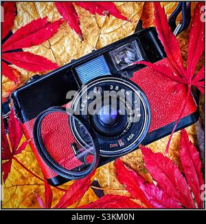 Colourful old camera with Autumn leaves. Stock Photo