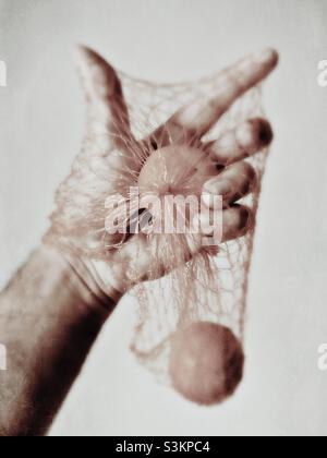 Holding Tangerines in hand in a mesh bag Stock Photo