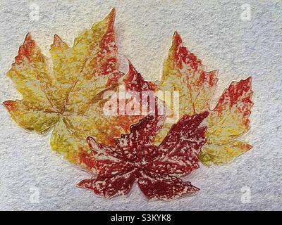 A trio of autumn leaves with a painterly and textured look. Stock Photo