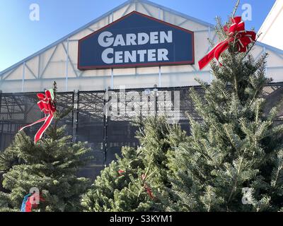 Christmas trees on display and for sale at the Garden Center at a local Lowe’s in Utah, USA. Stock Photo