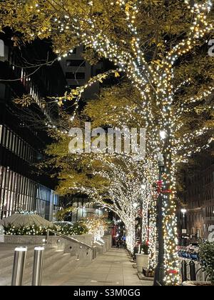 White Holiday lights on the Trees lining 40th St. at Park Avenue in New York City Stock Photo