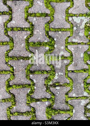 Moss covered paving stones Stock Photo