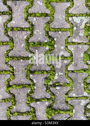 Moss covered paving stones Stock Photo