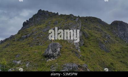 The Burake hills where stand the statue of Jesus Christ Blesing at Makale in Tana Toraja Regency, South Sulawesi, Indonesia. Stock Photo